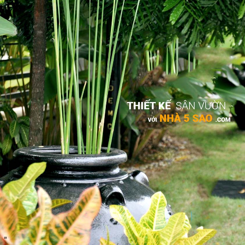Sân vườn tiểu cảnh đẹp nhà phố biệt thự thiết kế độc