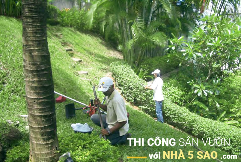 Thi công sân vườn với đội ngũ chuyên nghiệp